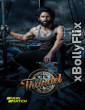 Thandel (2025) [Hindi+Telugu] South Indian Hindi Dubbed Movie Download